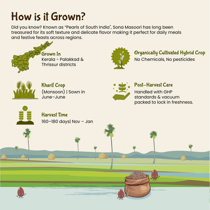 Rajamudi Organic Navara Rice 2 Kg: A Taste of Ancient Wisdom