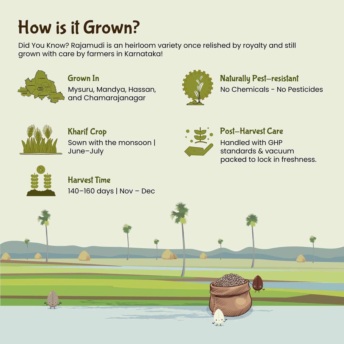 rajamudi rice, organic rajamudi rice, red rice, rajamudi unpolished rice, rajamudi rice, indian rice, organic rice, rajamudi, buy rajamudi rice, buy rajamudi rice 4lb, buy rajamudi rice online, diabetic rice, gmo free rice, unpolished rice, buy unpolished rice, white rice, red rice